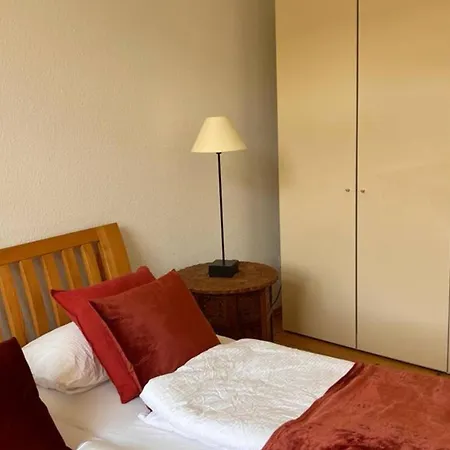 Seeglueck Seeliebe - Charmante Jugendstilwohnung Mit Parkplatz Direkt Im Zentrum Nahe Bahnhof Und Seeufer In Konstanz Exterior photo